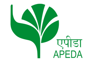 APEDA-1.png